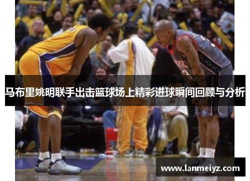马布里姚明联手出击篮球场上精彩进球瞬间回顾与分析