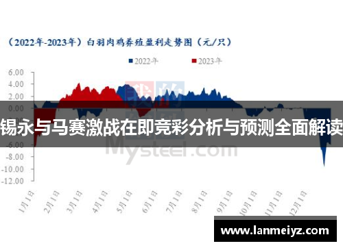 锡永与马赛激战在即竞彩分析与预测全面解读
